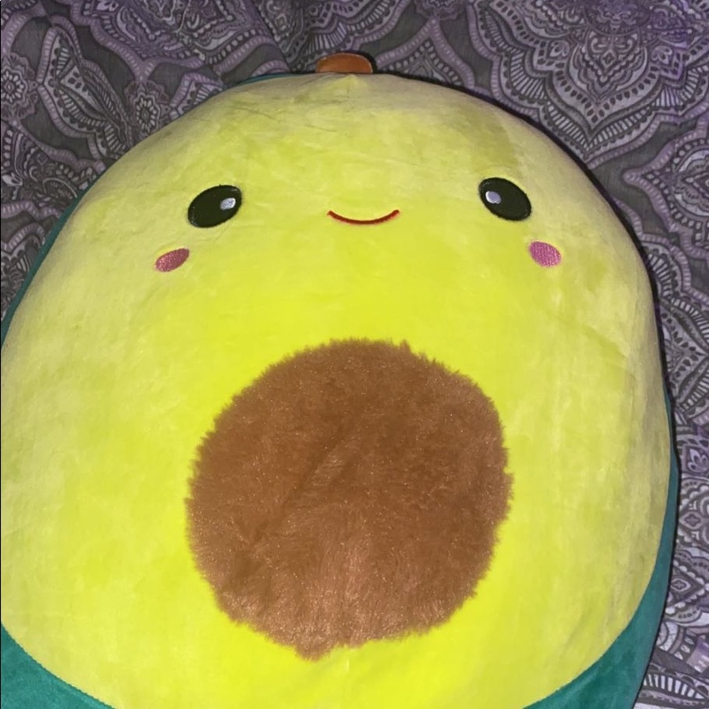16” avocado Austin The squishmallow.